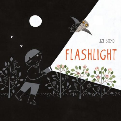 Flashlight 500x500 Librarian Preview: Chronicle Books (Fall 2014)