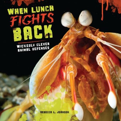 WhenLunchFights 500x500 Librarian Preview: Lerner Books (Fall 2014)