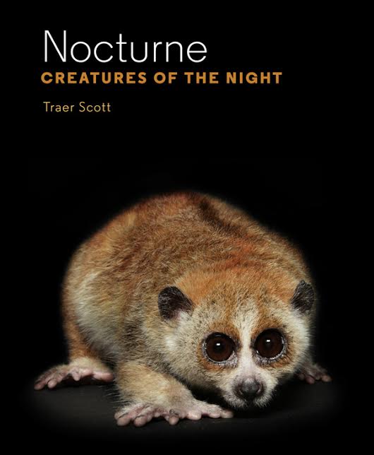 nocturne. Creatures of the Night.